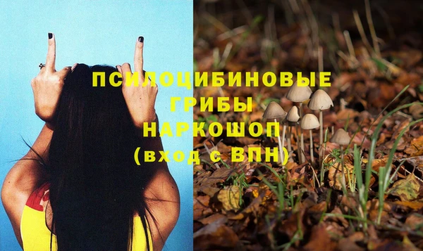 MESCALINE Верея