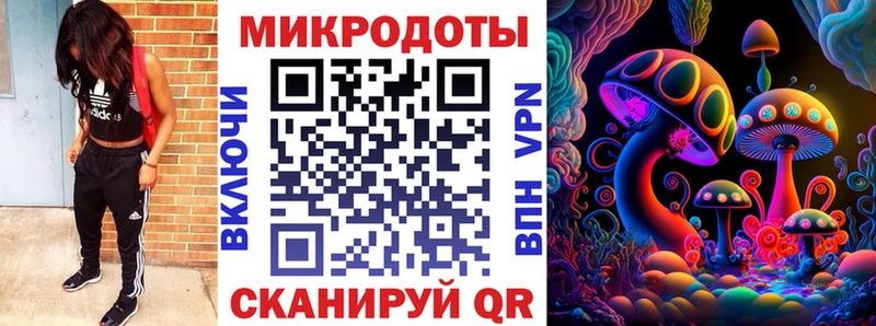 цены наркотик  Ставрополь  Псилоцибиновые грибы мицелий 